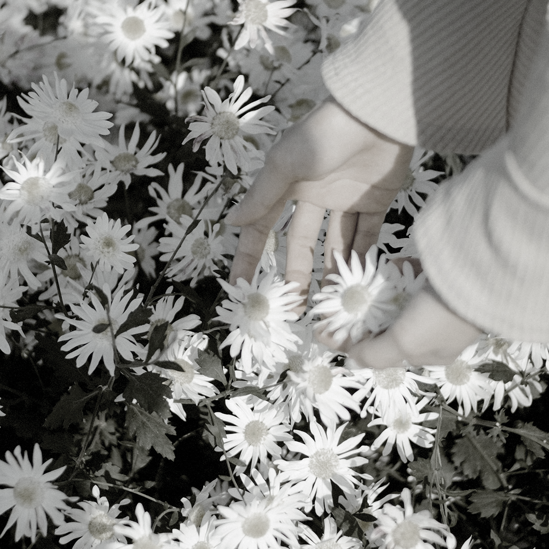 7 Jahre Investorin – Wie alles begann